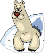 orso polare tana.gif